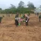 IMG-20260505-WA0000