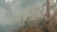 IMG-20261008-WA0011